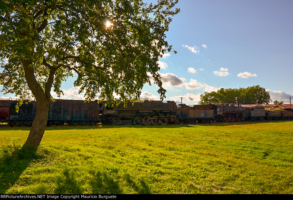 Steam Locomotives in the open area